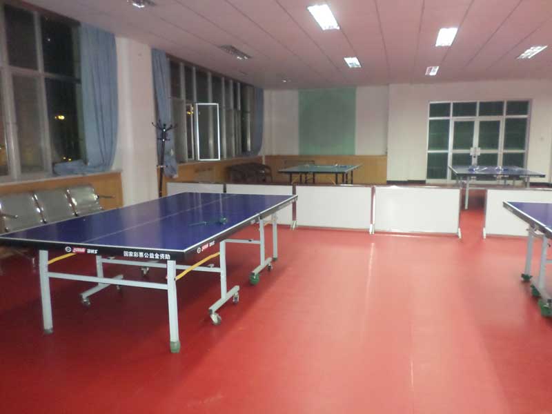 甘肅pvc塑膠運(yùn)動(dòng)地板 甘肅pvc塑膠運(yùn)動(dòng)地板